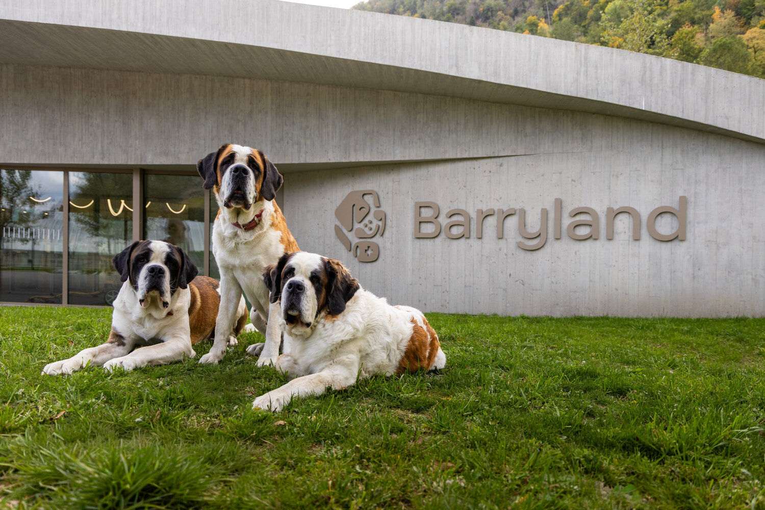 Barryland