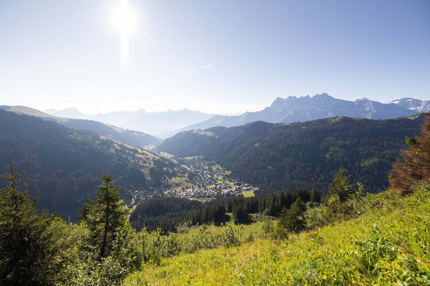 Morgins