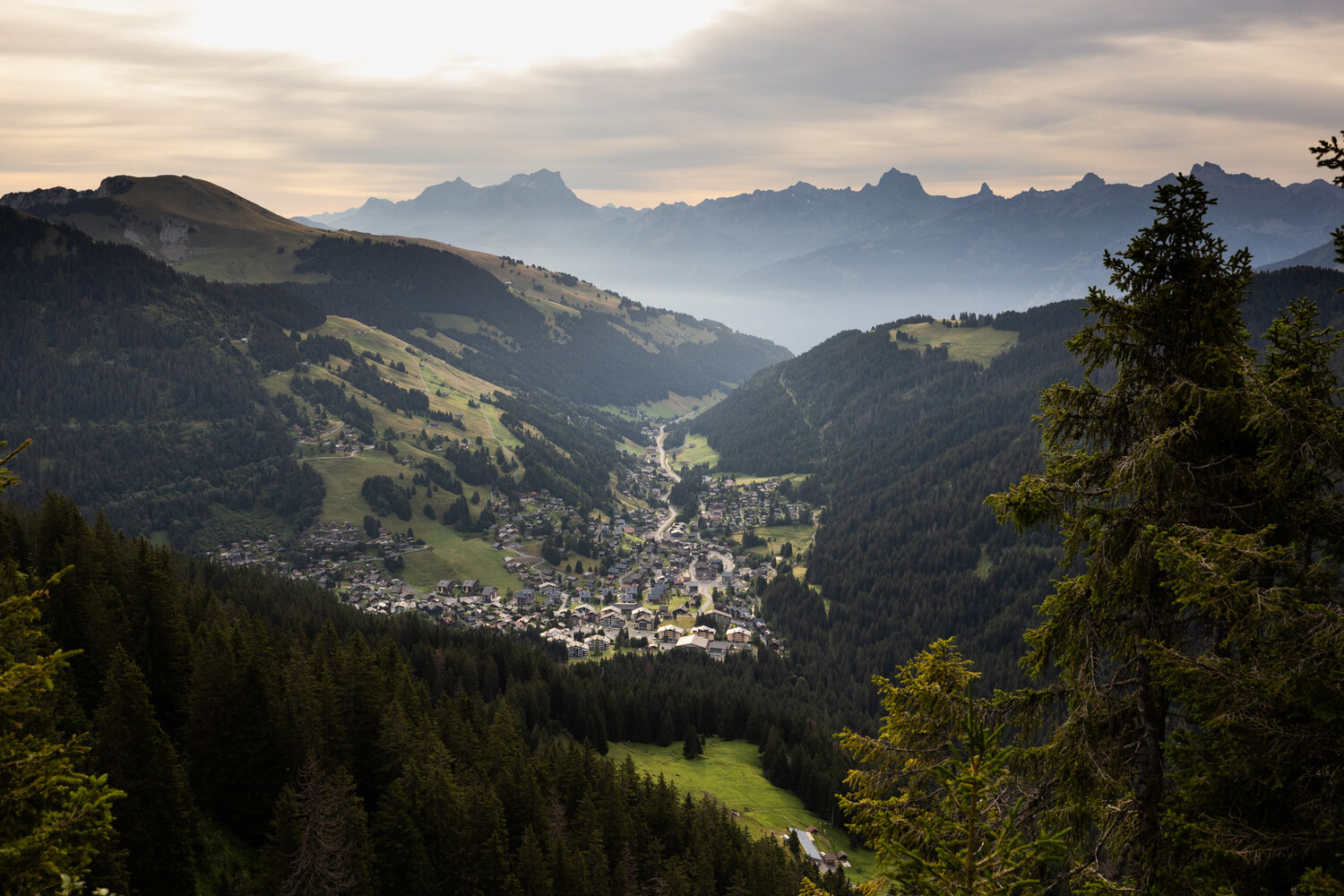 Morgins