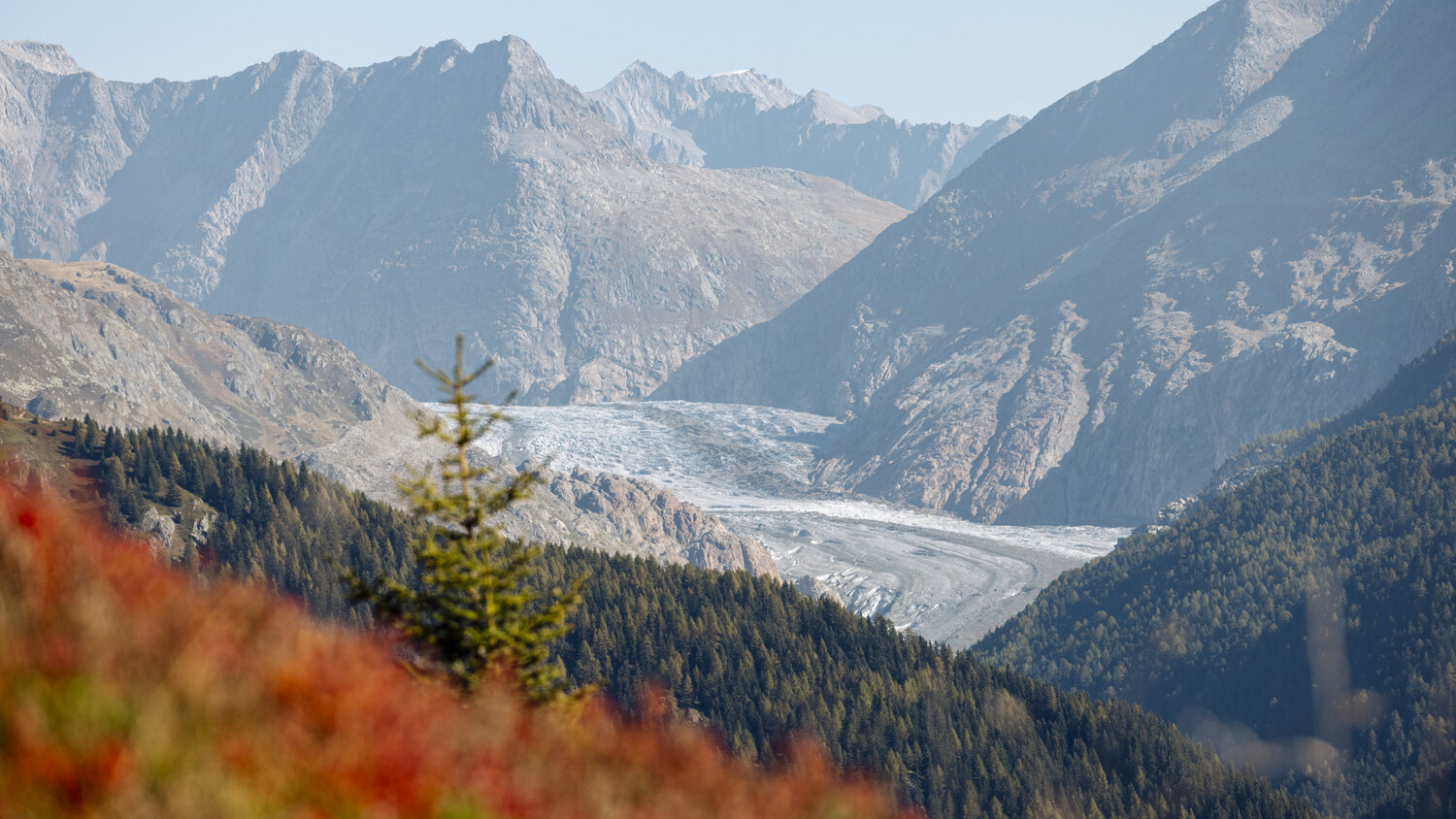 Photo de Blatten-Belalp