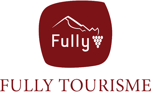 Logo Fully
