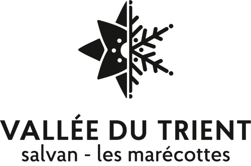 Logo Salvan - Les Marécottes