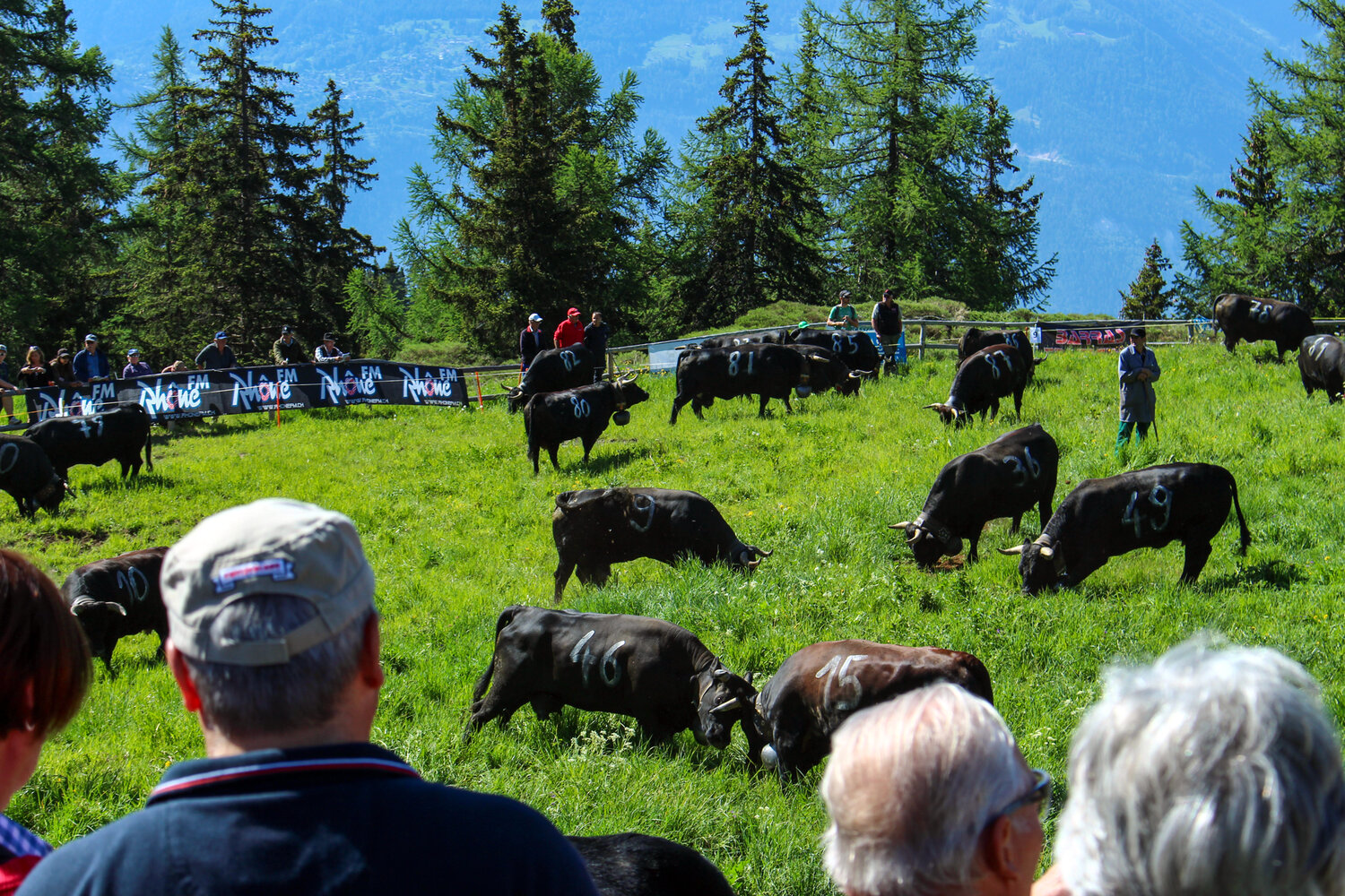 Inalpe de Corbyre