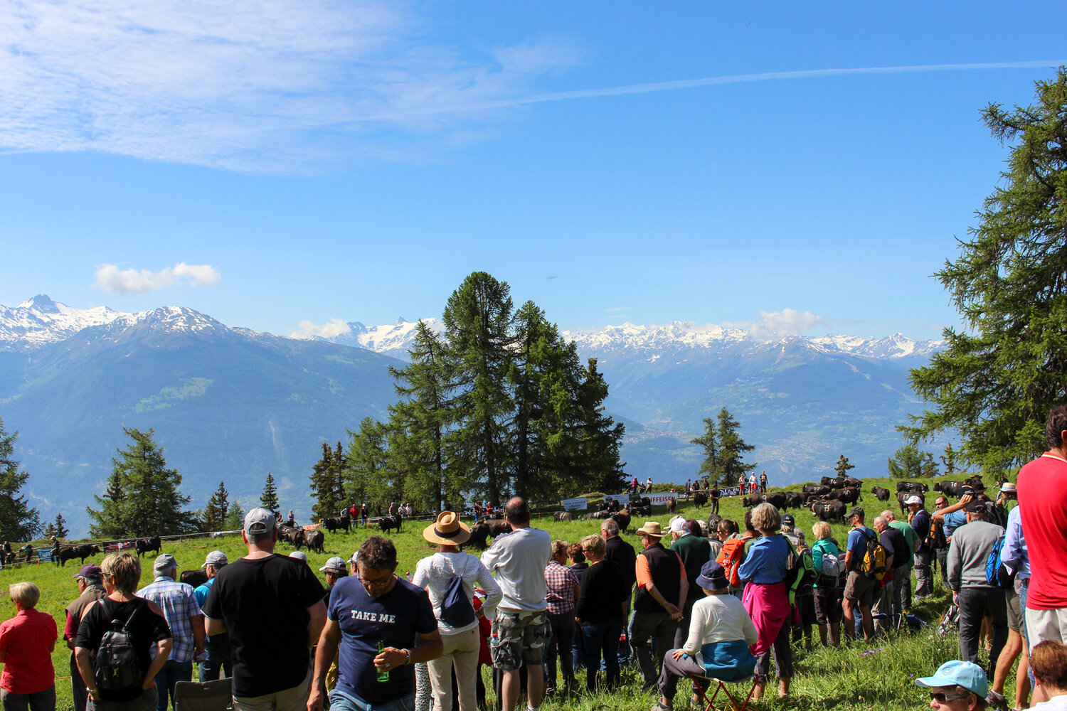 Inalpe de Corbyre – Traditions alpines au cœur du Valais