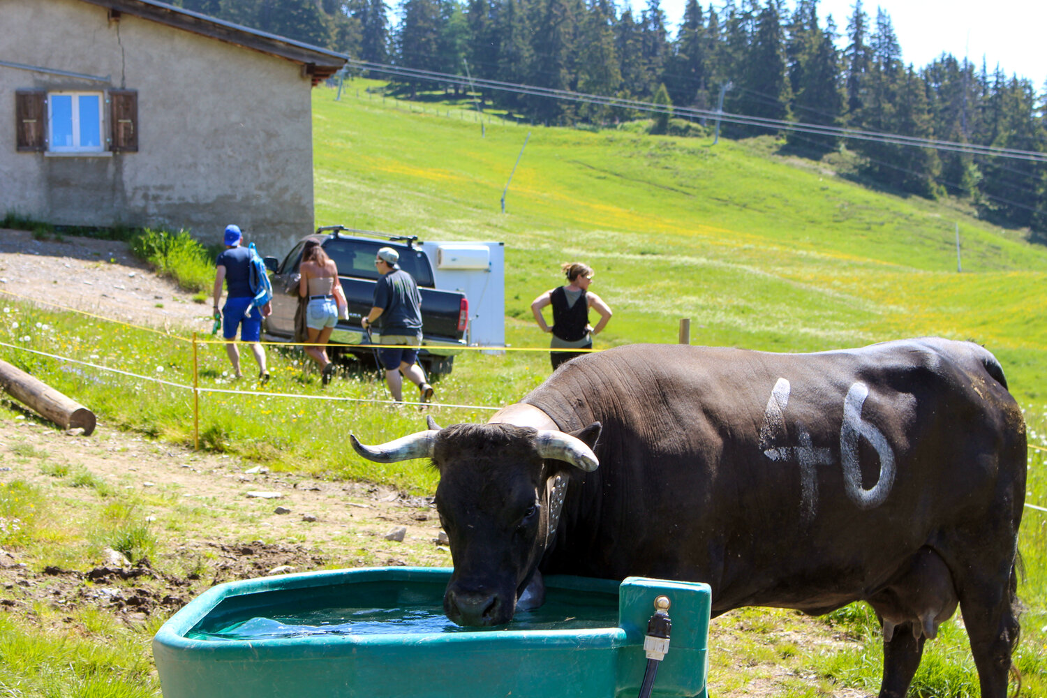Inalpe de Corbyre – Traditions alpines au cœur du Valais