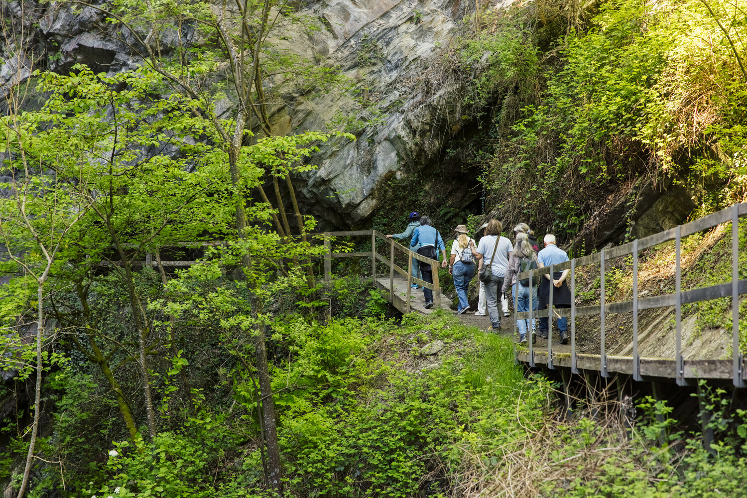 Les Gorges de la Vièze
