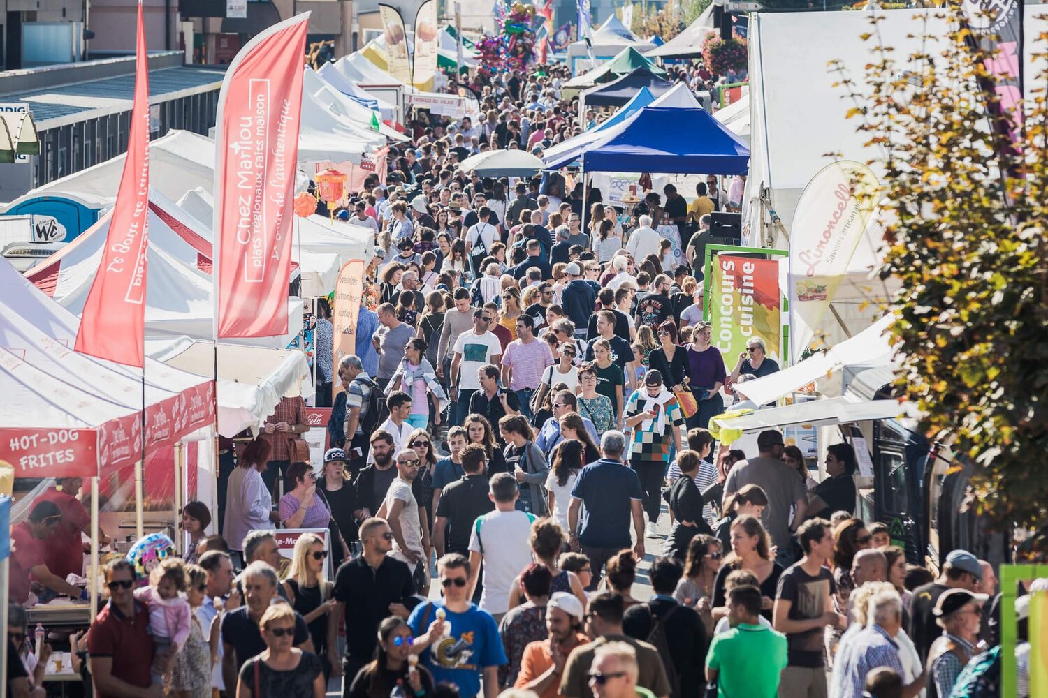 Fête de la Châtaigne