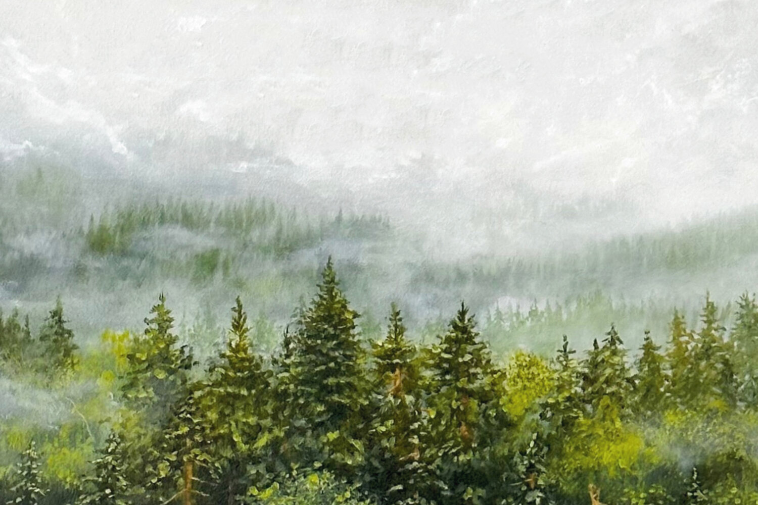 Terre du Nord